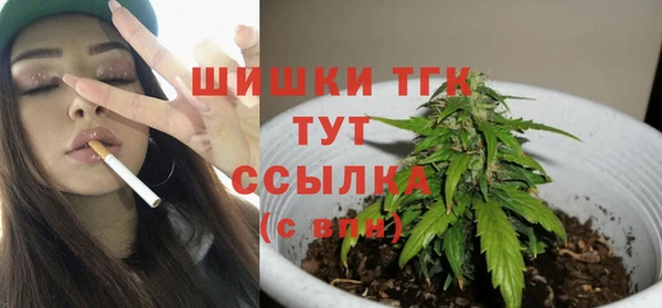 СК Вяземский