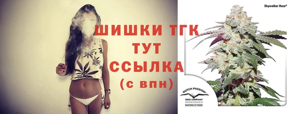 СК Вяземский