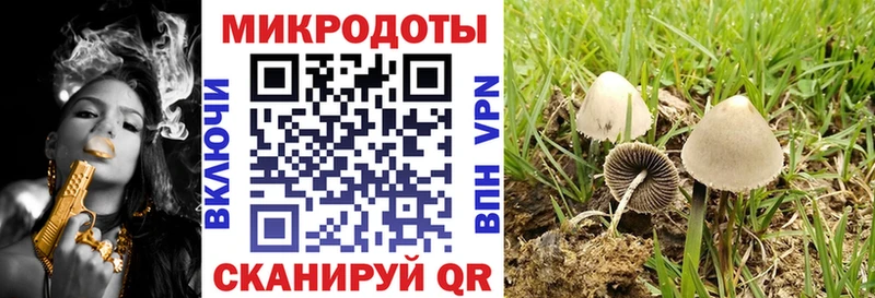 Псилоцибиновые грибы Magic Shrooms  гидра tor  Тамбов 